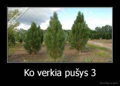Ko verkia pušys 3 - 
