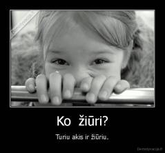 Ko  žiūri? - Turiu akis ir žiūriu.