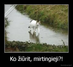 Ko žiūrit, mirtingieji?! - 