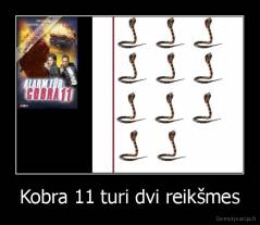 Kobra 11 turi dvi reikšmes - 