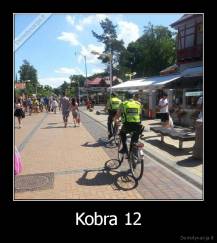 Kobra 12 - 