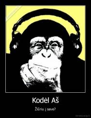 Kodėl Aš - Žiūriu į save?