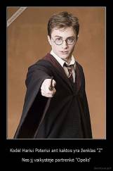 Kodėl Hariui Poteriui ant kaktos yra ženklas "Z" - Nes jį vaikystėje partrenkė "Opelis"
