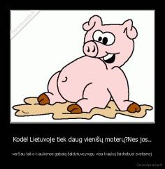 Kodėl Lietuvoje tiek daug vienišų moterų?Nes jos.. - verčiau laiko kiaulienos gabalą šaldytuve,negu visa kiaule,išsidrebusi svetainej