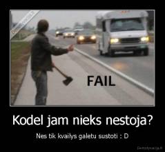 Kodel jam nieks nestoja? - Nes tik kvailys galetu sustoti : D