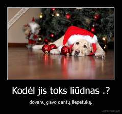 Kodėl jis toks liūdnas .? - dovanų gavo dantų šepetuką.