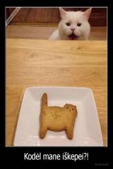 Kodėl mane iškepei?! - 