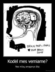 Kodėl mes vemiame? - Nes mūsų smegenys šika