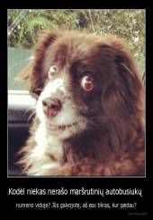 Kodėl niekas nerašo maršrutinių autobusiukų  - numerio viduje? Jūs galvojote, aš esu tikras, kur įsėdau?