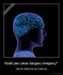 Kodėl pas Lekas daugiau smegenų?  - nes jis nestume ant Lietuvių