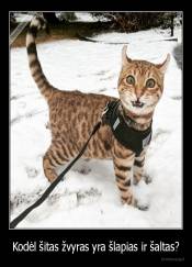 Kodėl šitas žvyras yra šlapias ir šaltas? - 