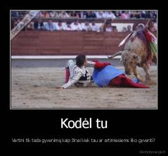 Kodėl tu - Vertini tik tada gyvenimą kaip žinai kiek tau ar artimiesiems liko gyventi?