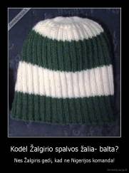 Kodėl Žalgirio spalvos žalia- balta? - Nes Žalgiris gedi, kad ne Nigerijos komanda!