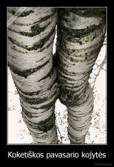 Koketiškos pavasario kojytės - 