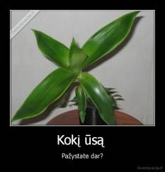 Kokį ūsą  - Pažystate dar?