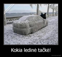 Kokia ledinė tačkė! - 