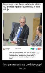 Kokia yra mėgstamiausia Lino Balsio grupė? - Blink 1,82