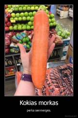 Kokias morkas - perka senmergės.