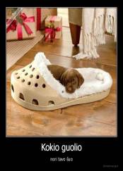 Kokio guolio - nori tavo šuo