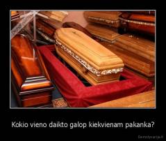 Kokio vieno daikto galop kiekvienam pakanka? - 