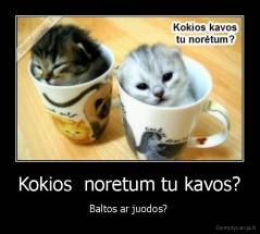 Kokios  noretum tu kavos? - Baltos ar juodos? 