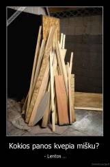 Kokios panos kvepia mišku?  - - Lentos ...