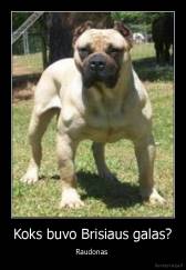 Koks buvo Brisiaus galas? - Raudonas 