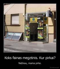 Koks fainas megztinis. Kur pirkai? - Nežinau, mama pirko.