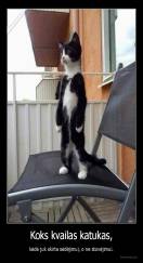Koks kvailas katukas, - kėdė juk skirta sėdėjimui, o ne stovėjimui.