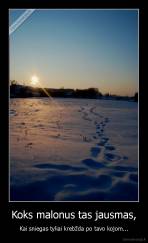 Koks malonus tas jausmas, - Kai sniegas tyliai krebžda po tavo kojom...