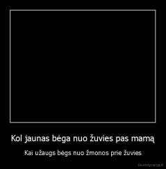 Kol jaunas bėga nuo žuvies pas mamą - Kai užaugs bėgs nuo žmonos prie žuvies