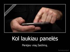 Kol laukiau panelės - Perėjau visą žaidimą.