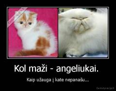 Kol maži - angeliukai.  - Kaip užauga į kate nepanašu...
