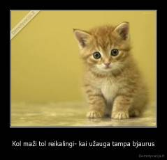 Kol maži tol reikalingi- kai užauga tampa bjaurus - 