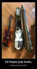 Kol mergina grojo smuiku, - jos katinas užmigo smuiko dėkle