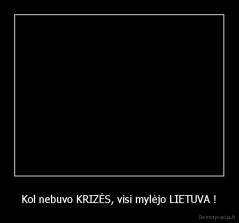 Kol nebuvo KRIZĖS, visi mylėjo LIETUVA ! - 