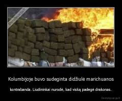 Kolumbijoje buvo sudeginta didžiulė marichuanos - kontrabanda. Liudininkai nurodė, kad viską padegė drakonas.
