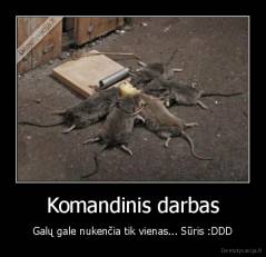 Komandinis darbas - Galų gale nukenčia tik vienas... Sūris :DDD