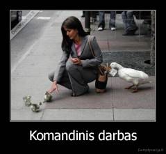 Komandinis darbas - 