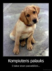 Kompiuteris palauks - O dabar einam pasivaikščioti...