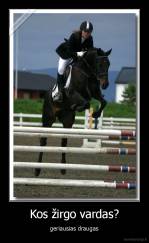 Kos žirgo vardas? - geriausias draugas