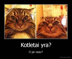 Kotletai yra? - O jei rasiu?