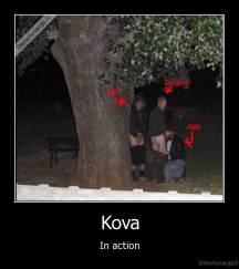 Kova - In action