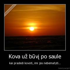 Kova už būvį po saule - kai pradedi kovoti, imi jos nebematyti...