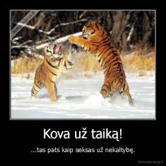 Kova už taiką! - ...tas pats kaip seksas už nekaltybę.