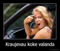 Kraujevau koke valanda - 