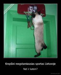 Krepšini megstamiausias sportas Lietuvoje - Net ir katėm?