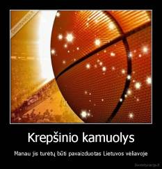 Krepšinio kamuolys - Manau jis turėtų būti pavaizduotas Lietuvos vėliavoje