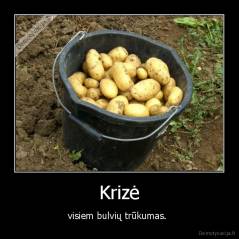 Krizė - visiem bulvių trūkumas. 