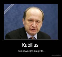 Kubilius  - demotyvacijos žvaigždė.